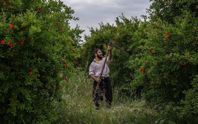 «قهرمانان معمولی» راهی آنتن شبکه مستند می‌شود